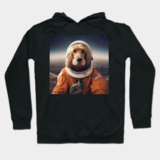 Astro Dog - Afghan Hound Hoodie